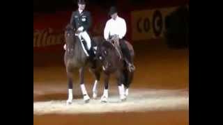 Dressage vs Western [upl. by Fidelity211]