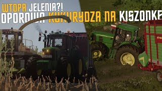 ☆Wtopa jelenia☆ Wysypana kukurydza☆Oporowa Kukurydza na kiszonkę 2024☆ Fs22☆ [upl. by Gerladina]