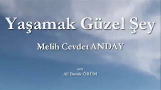 Yaşamak Güzel Şey Melih Cevdet ANDAYgaripçiler melihcevdetgüzelşeydoğrusumelihcevdetanday [upl. by Portia]