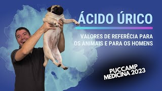 Puccamp Medicina 2023 O ácido úrico nos animais é formado pelo metabolismo das bases [upl. by Euqenimod]