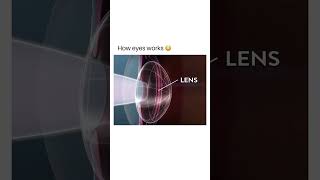 human eye working animated video physicswallah physics [upl. by Ettereve]