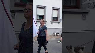 DEMO Herxheim bei Landau mit Trommeln und Wolfgang Burkard Lorsch 29072023 [upl. by Ennasor]