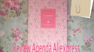 Review agenda aliexpress [upl. by Horner]