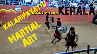 Kalaripayattu Martial Arts Video 7 [upl. by Aruasi]