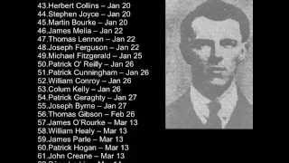 Roll of Honour  Irish Civil War [upl. by Langdon]