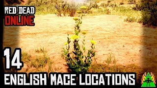 Red Dead Redemption 2 ONLINE  ENGLISH MACE LOCATIONS [upl. by Stark984]