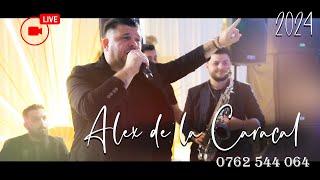 ALEX DE LA CARACAL ✅ PROGRAM LIVE 2024 ✅ BOTEZ SELIN NICOLE [upl. by Honorine603]