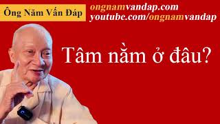 Tâm nằm ở đâu [upl. by Nolyat]