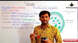 Introduction to biology Lec11 Volvox in UrduHindi by Sir Ahsan Baloch [upl. by Vincenta207]