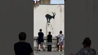 Why is Banksy painting animals around London  ABC News [upl. by Suiddaht215]