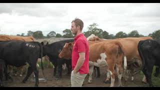 Protecting your cattle and your reputation Brodhi Carracher VIC Beef Producer [upl. by Aisatnaf]