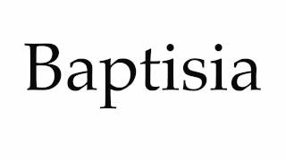 How to Pronounce Baptisia [upl. by Eric]