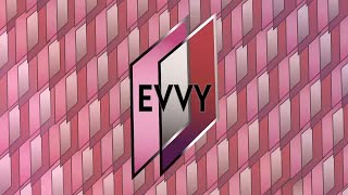 The 41st Annual EVVY Awards [upl. by Hackett134]