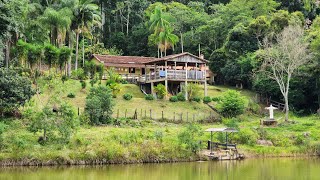 Lindo Sítio No Sul De Minas Gerais A Venda [upl. by Nylkoorb438]