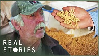 The Farmer Who Took On Monsanto David Vs Goliath Documentary  Real Stories [upl. by Ycnan]