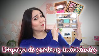 Purga de mi coleccion de Sombras individuales maquillaje [upl. by Llewsor]