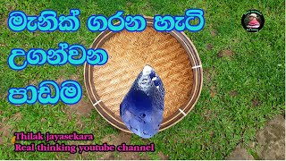 How to wash gems gravels soilකොහොමද ඉල්ලම්සෝදන්නෙ [upl. by Ahseid]