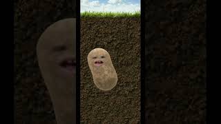 Maya Hee Maya hoo  ozone potatos [upl. by Victor]