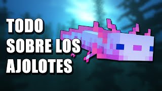 Cómo hacer un Acuario o Pecera para AJOLOTE en Minecraft [upl. by Nima895]