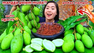 KRIUK KETAGIHAN 🤤 MUKBANG RUJAK MANGGA MUDA SAMBAL PEDAS MANGGA MENTAH SAMBEL RUJAK [upl. by Trevethick]