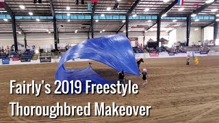 Fairly Obvious and Lindsey Partridge freestyle 2019 Thoroughbred makeover [upl. by Vanhomrigh]