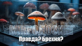 Мікродозинг психоделіками або найбільша брехня 21 століття [upl. by Loriner943]