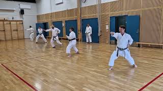 Treningssamling med sensei Poh Lim 7dan Tsunami Shotokan Karateklubb 8 mars 20242 [upl. by Hochman]