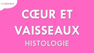 Le système cardiovasculaire  Histologie [upl. by Bailey391]