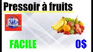 DIY Fabriquer un pressoir à fruits transparent [upl. by Nylynnej]