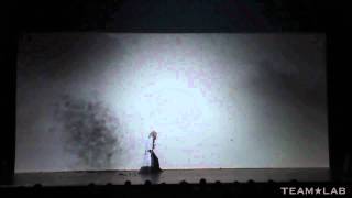 Sword Dance and Shadowgraph PERFORMANCE [upl. by Constantina666]