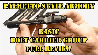 PSA 556 NATO 9310 BASIC Bolt Carrier Group Full Review [upl. by Nade]