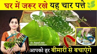 हर बीमारी को भगाएं  4 Magical Leaves  यह 4 पत्ते जरुर खाएं  Health Benefits of Ayurvedic Plants [upl. by Kano]