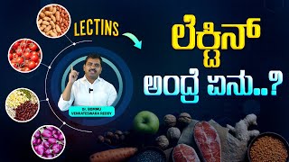 ಲೆಕ್ಟಿನ್‌ ನಿಂದ ಆಗುವ ಪ್ರಯೋಜನ ಏನು  What Are Lectins  Leaky Gut Health  Lectins for Gut Health [upl. by Joseph]