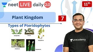 NEET Plant Kingdom  L7  Pteridophytes  Class 11  Live Daily 20  Unacademy NEET  Pradeep Sir [upl. by Atineg]