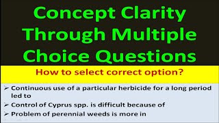 Concept Clarity Through Multiple Choice Questions [upl. by Fredia485]