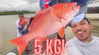 PARGO BOCA NEGRA 5KG PESCARIA EM ALTO MAR [upl. by Swanhildas]