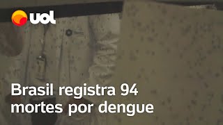 Dengue Brasil registra 94 mortes pela doença em 2024 BH decreta emergência [upl. by Aikemahs452]