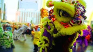 Lion Dance Calgary 2013 at Chinese Cultural Centre [upl. by Hirza161]