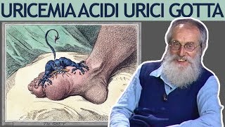 Dott Mozzi Uricemia acidi urici iperuricemia gotta [upl. by Garett664]