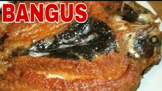 BANGUS  Ito ang tamang pag prito ng bangus na hindi tumatalsik ang mantika [upl. by Elisa]