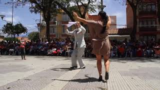 Cueca Chapaca Tarija  Bolivia 2017 [upl. by Sucramat343]