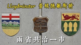 Canadas only Border City 跨省小城 Lloydminster  横贯加拿大自驾 D6 [upl. by Rodmann]