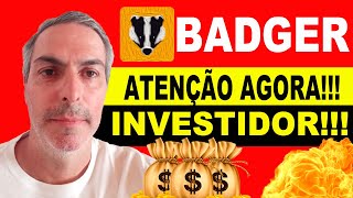 BADGER DAO TOKEN HOJE ATENÇÃO MERCADO REAGINDO FORTE A SEUS INVESTIMENTOS [upl. by Perrie]