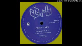 The Orb  Oxbow Lakes Everglades Mix by A Guy Called Gerald [upl. by Areek]