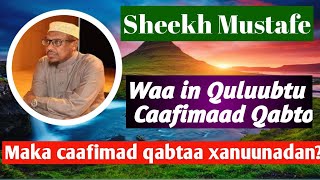 Ma ka caafimaad qabtaa xanuunadaan quluubtu waa inay caafimaad qabto sheekh mustafe sheegayo [upl. by Allsun763]