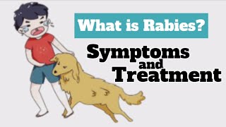 What is Rabies Symptoms and Treatment of Rabies [upl. by Vi28]