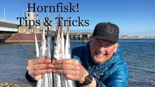 Hornfisk Tips amp Tricks [upl. by Ardnusal]