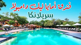 فندق أمايا ليك دامبولا سيرلانكا [upl. by Murielle247]