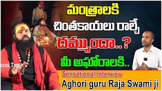 మంత్రాలకి చింతకాయలు రాల్చే దమ్ముందా  Aghori Guru Raja Swami ji  Jakka Anjaneyulu  DevotionalTree [upl. by Oigimer]