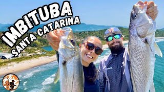 IMBITUBA  SANTA CATARINA PESCAMOS ROBALO CORVINA PAPA TERRA BAGRE… [upl. by Hylan]